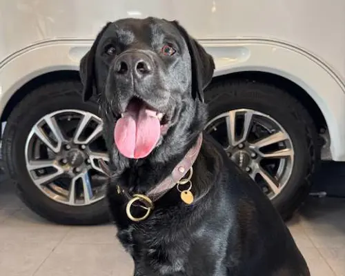 Bild på medarbetare